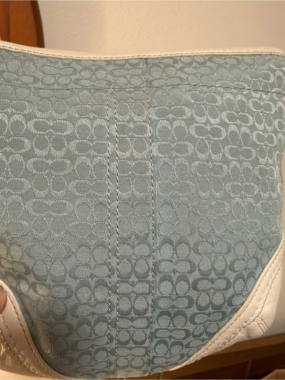 Coach Jacquard Light Blue and White Women's Shoulder Bag